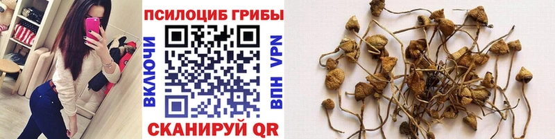 Галлюциногенные грибы Magic Shrooms Вяземский