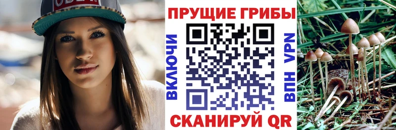 Галлюциногенные грибы GOLDEN TEACHER  Вяземский 