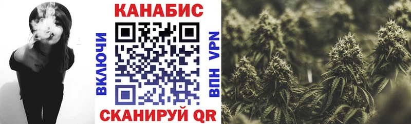 Каннабис индика Вяземский